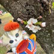 ヒメ日記 2026/04/04 18:22 投稿 三木せつな 全裸美女からのカゲキな誘惑