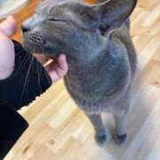 ヒメ日記 2026/04/15 00:08 投稿 三木せつな 全裸美女からのカゲキな誘惑