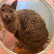 ヒメ日記 2026/04/18 17:58 投稿 三木せつな 全裸美女からのカゲキな誘惑