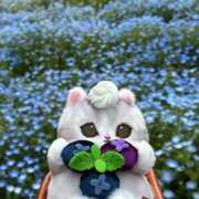 ヒメ日記 2026/04/24 14:19 投稿 三木せつな 全裸美女からのカゲキな誘惑