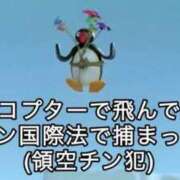 ヒメ日記 2026/09/27 12:08 投稿 三木せつな 全裸美女からのカゲキな誘惑