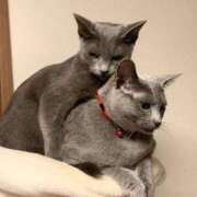 ヒメ日記 2025/09/24 12:04 投稿 三原せつな THE痴漢電車.com