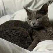 ヒメ日記 2025/10/06 22:45 投稿 三原せつな THE痴漢電車.com