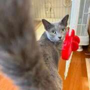 ヒメ日記 2025/10/07 21:13 投稿 三原せつな THE痴漢電車.com