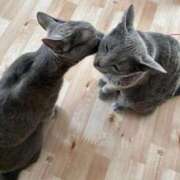 ヒメ日記 2025/10/08 21:03 投稿 三原せつな THE痴漢電車.com