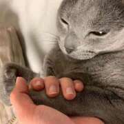 ヒメ日記 2025/10/13 19:00 投稿 三原せつな THE痴漢電車.com