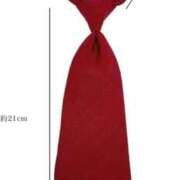 ヒメ日記 2025/11/15 16:43 投稿 三原せつな THE痴漢電車.com