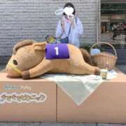 ヒメ日記 2025/11/22 14:03 投稿 三原せつな THE痴漢電車.com