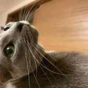 ヒメ日記 2025/11/22 16:33 投稿 三原せつな THE痴漢電車.com