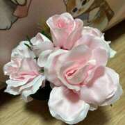 ヒメ日記 2025/11/24 14:23 投稿 三原せつな THE痴漢電車.com