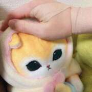 ヒメ日記 2025/11/28 23:03 投稿 三原せつな THE痴漢電車.com