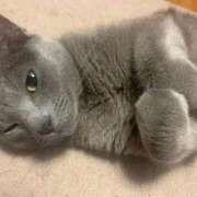 ヒメ日記 2025/12/14 17:34 投稿 三原せつな THE痴漢電車.com