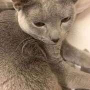 ヒメ日記 2025/12/15 13:53 投稿 三原せつな THE痴漢電車.com