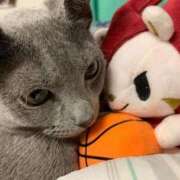 ヒメ日記 2025/12/20 19:01 投稿 三原せつな THE痴漢電車.com