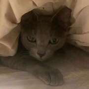 ヒメ日記 2025/12/21 18:43 投稿 三原せつな THE痴漢電車.com