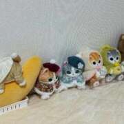 ヒメ日記 2026/01/11 09:03 投稿 三原せつな THE痴漢電車.com