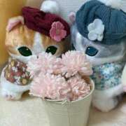 ヒメ日記 2026/01/12 13:53 投稿 三原せつな THE痴漢電車.com