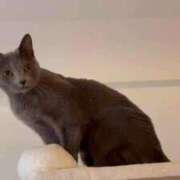 ヒメ日記 2026/01/25 17:53 投稿 三原せつな THE痴漢電車.com