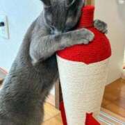 ヒメ日記 2026/01/26 01:23 投稿 三原せつな THE痴漢電車.com