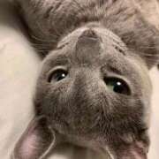 ヒメ日記 2026/02/01 15:03 投稿 三原せつな THE痴漢電車.com