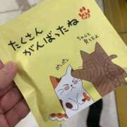 ヒメ日記 2026/02/01 16:53 投稿 三原せつな THE痴漢電車.com