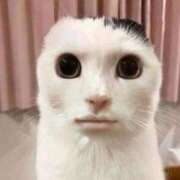 ヒメ日記 2026/02/08 15:33 投稿 三原せつな THE痴漢電車.com