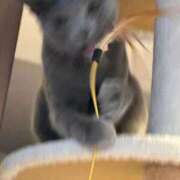 ヒメ日記 2026/02/14 18:33 投稿 三原せつな THE痴漢電車.com