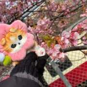 ヒメ日記 2026/02/21 09:23 投稿 三原せつな THE痴漢電車.com