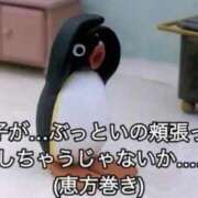 ヒメ日記 2026/02/21 14:19 投稿 三原せつな THE痴漢電車.com