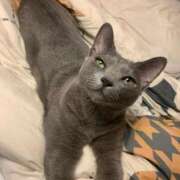 ヒメ日記 2026/02/22 17:53 投稿 三原せつな THE痴漢電車.com