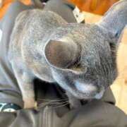 ヒメ日記 2026/02/28 18:13 投稿 三原せつな THE痴漢電車.com