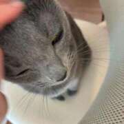 ヒメ日記 2026/03/14 17:47 投稿 三原せつな THE痴漢電車.com