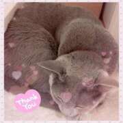 ヒメ日記 2026/03/24 18:33 投稿 三原せつな THE痴漢電車.com