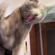 ヒメ日記 2026/03/25 21:13 投稿 三原せつな THE痴漢電車.com