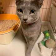 ヒメ日記 2026/03/28 20:07 投稿 三原せつな THE痴漢電車.com