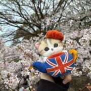 ヒメ日記 2026/03/30 20:23 投稿 三原せつな THE痴漢電車.com