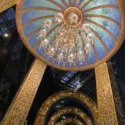 ヒメ日記 2025/12/14 16:28 投稿 綾音ゆみ 五反田マーマレード(ユメオト)