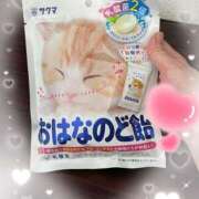 ヒメ日記 2026/03/19 00:25 投稿 綾音ゆみ 五反田マーマレード(ユメオト)