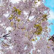 ヒメ日記 2026/04/04 18:32 投稿 綾音ゆみ 五反田マーマレード(ユメオト)