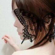 ヒメ日記 2026/01/11 16:34 投稿 美澄 みお 30代40代50代と遊ぶなら博多人妻専科24時