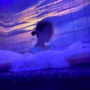 ヒメ日記 2026/02/10 21:05 投稿 美澄 みお 30代40代50代と遊ぶなら博多人妻専科24時