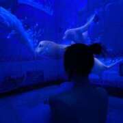 ヒメ日記 2026/03/01 14:04 投稿 美澄 みお 30代40代50代と遊ぶなら博多人妻専科24時