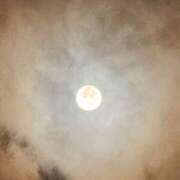 ヒメ日記 2025/11/06 03:30 投稿 しずか ぽちゃSPA