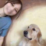 ヒメ日記 2025/11/01 16:04 投稿 まお★S級容姿端麗×女子アナ系 Bell～S級美女お姉様・人妻デリヘル～