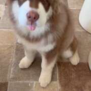 ヒメ日記 2025/11/21 14:02 投稿 まお★S級容姿端麗×女子アナ系 Bell～S級美女お姉様・人妻デリヘル～