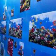 ヒメ日記 2025/10/05 21:27 投稿 ひかる 新宿本店 ぽちゃカワ女子専門店