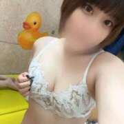 ヒメ日記 2025/12/30 14:08 投稿 ひかる 新宿本店 ぽちゃカワ女子専門店