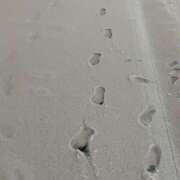 ヒメ日記 2026/02/10 09:08 投稿 かりな ハピネス＆ドリーム 松山道後温泉