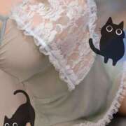 ヒメ日記 2025/10/09 09:58 投稿 サツキ variation(バリエーション)