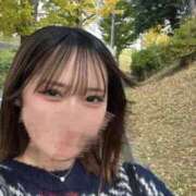 ヒメ日記 2025/11/16 12:45 投稿 ももか 学園祭